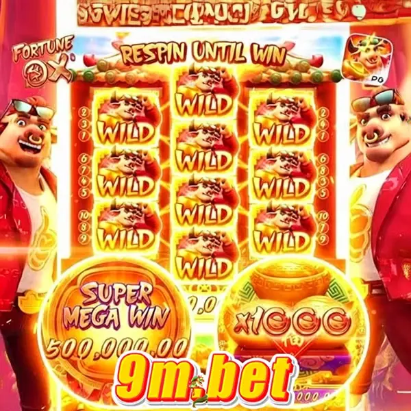 9m Login